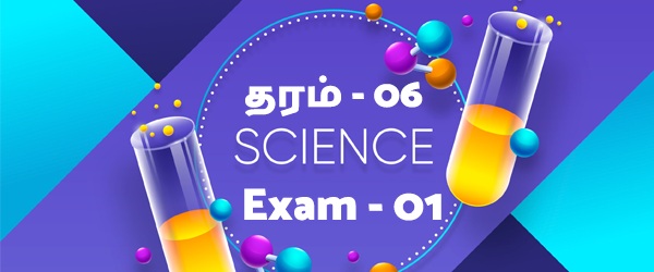 Quizsl Grade 06